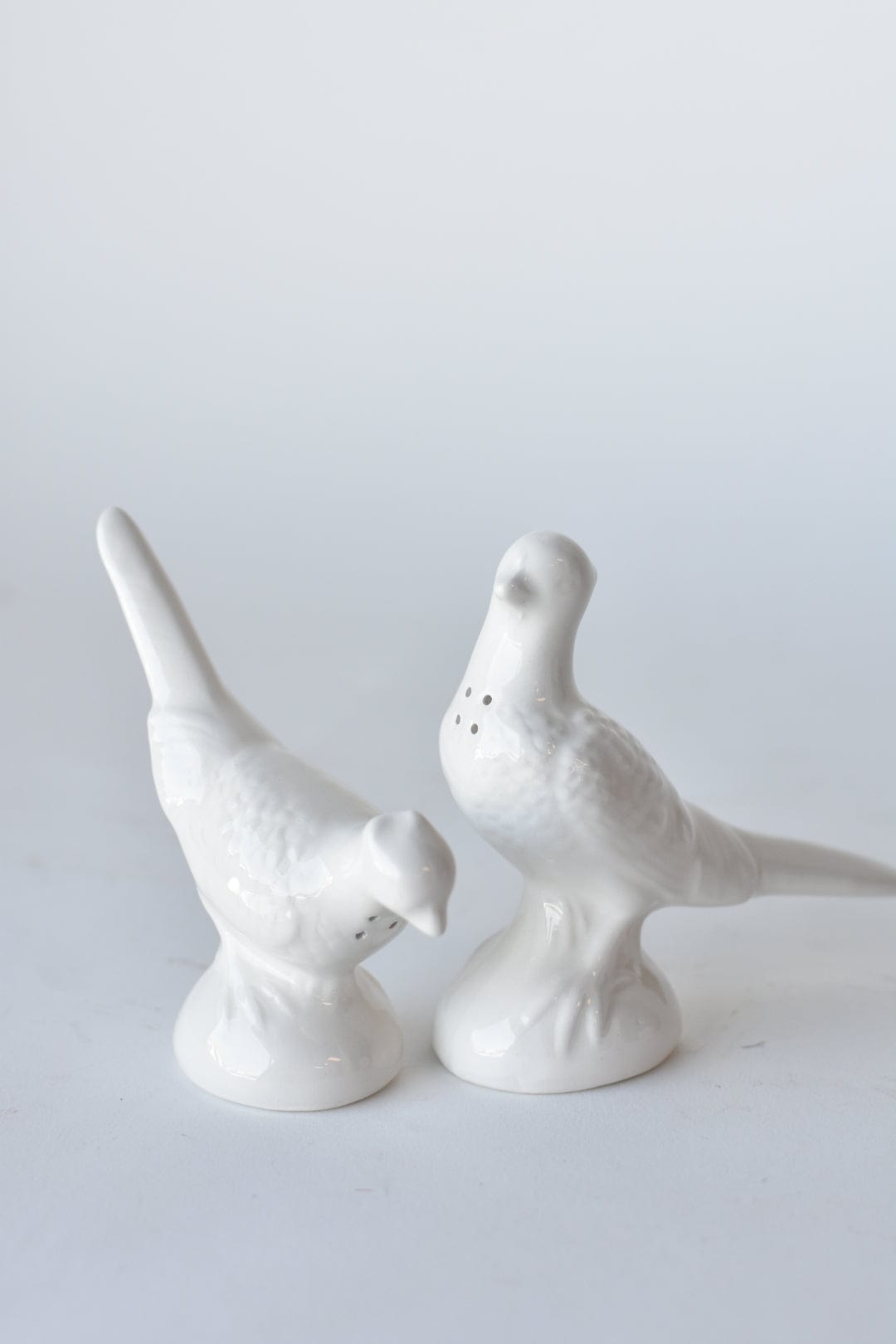 Ceramic Pheasant Salt & Pepper Shakers