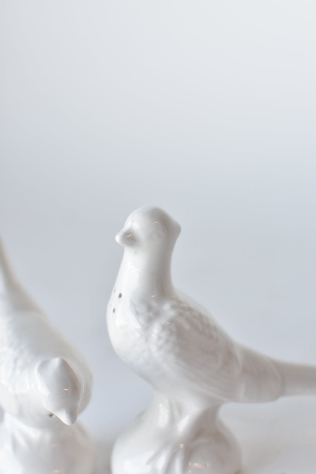Ceramic Pheasant Salt & Pepper Shakers