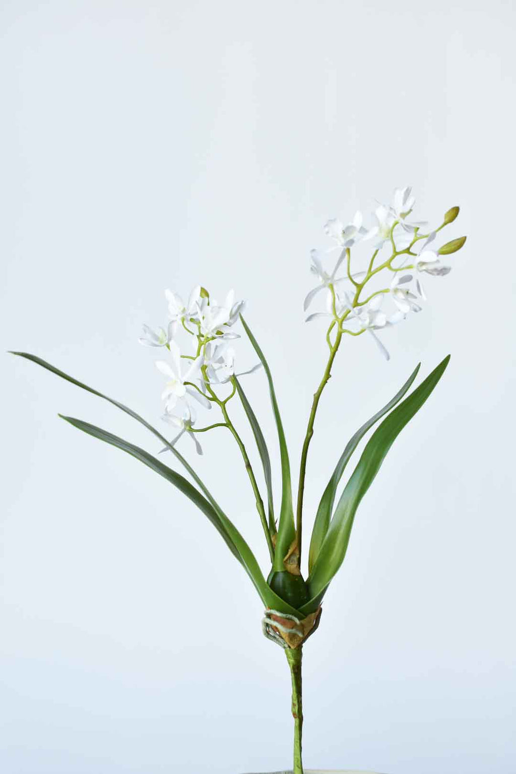 16" Faux Mini Orchid Stem with Leaves and Roots