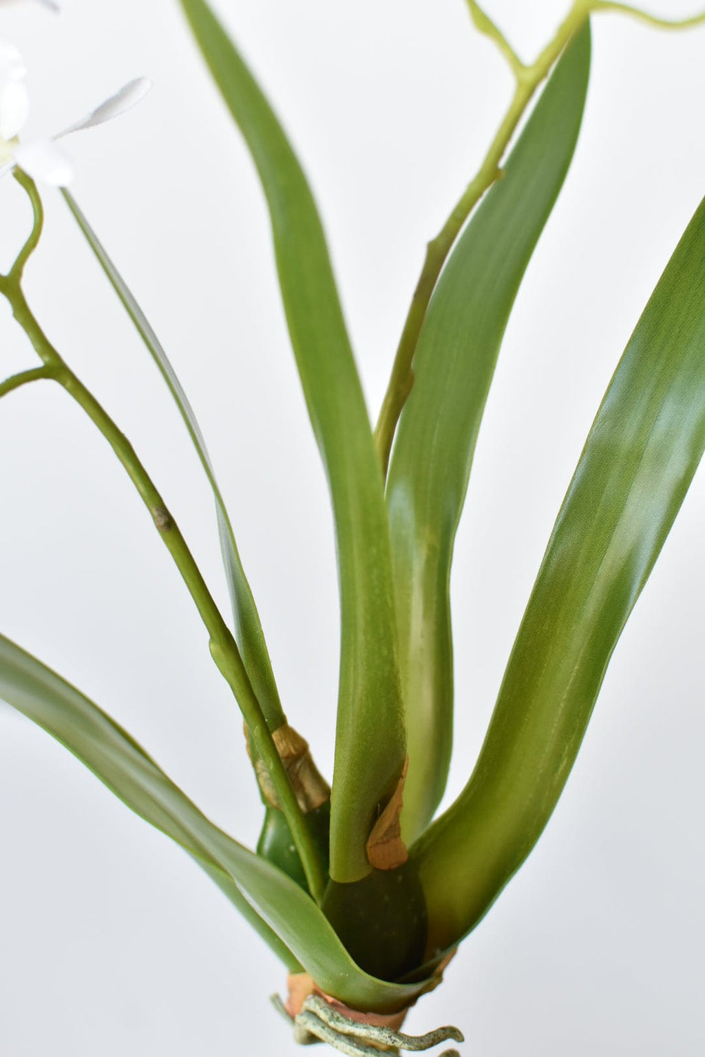 16" Faux Mini Orchid Stem with Leaves and Roots
