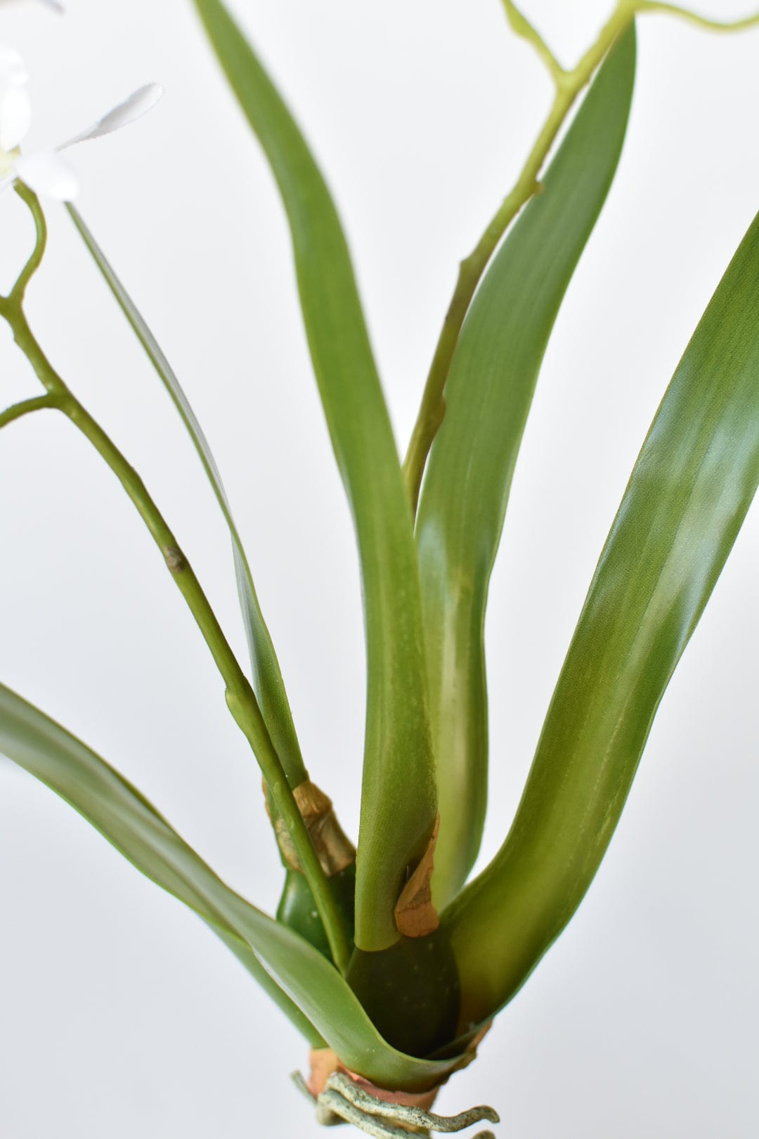 16" Faux Mini Orchid Stem with Leaves and Roots