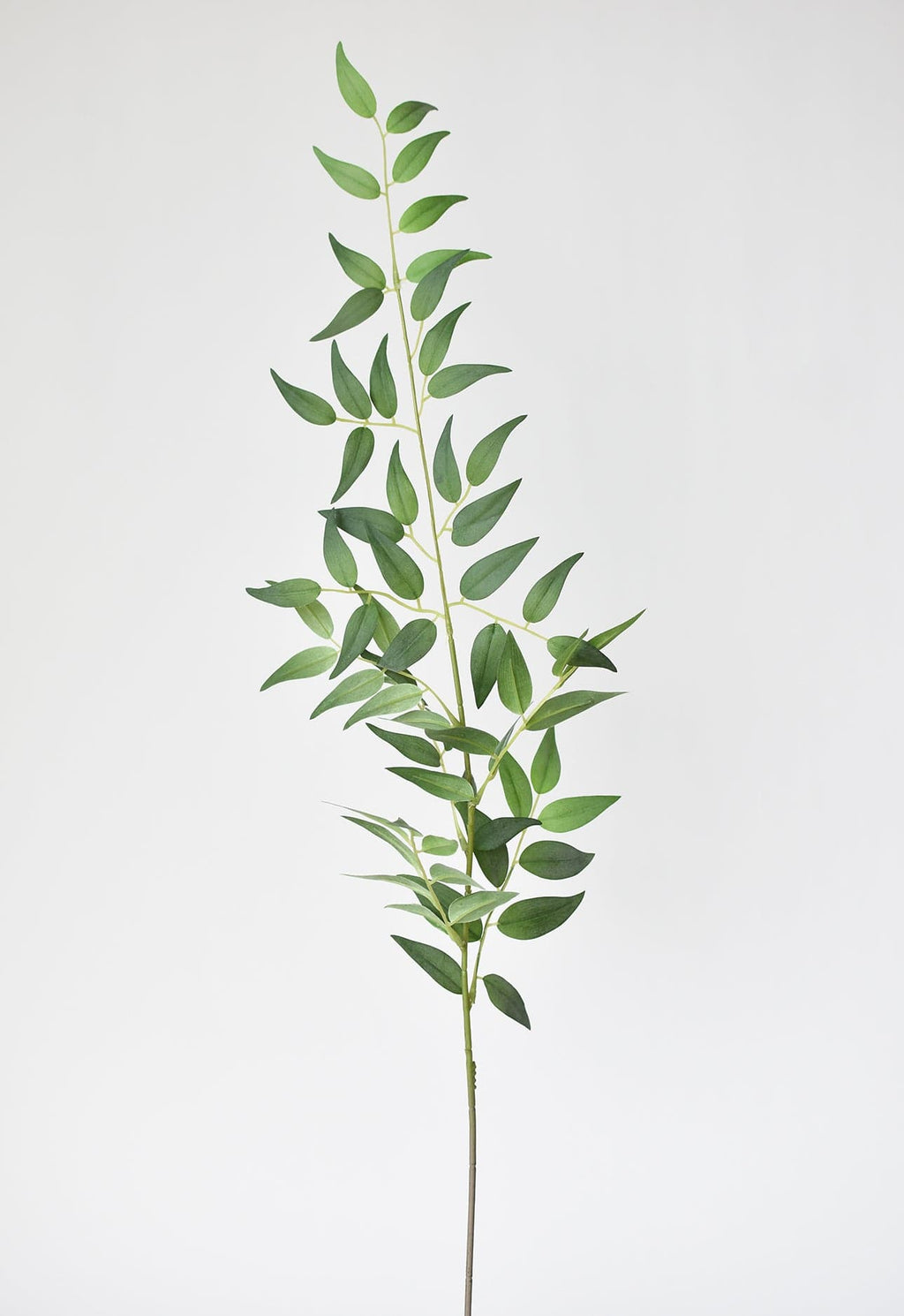 36" Faux Italian Ruscus Stem