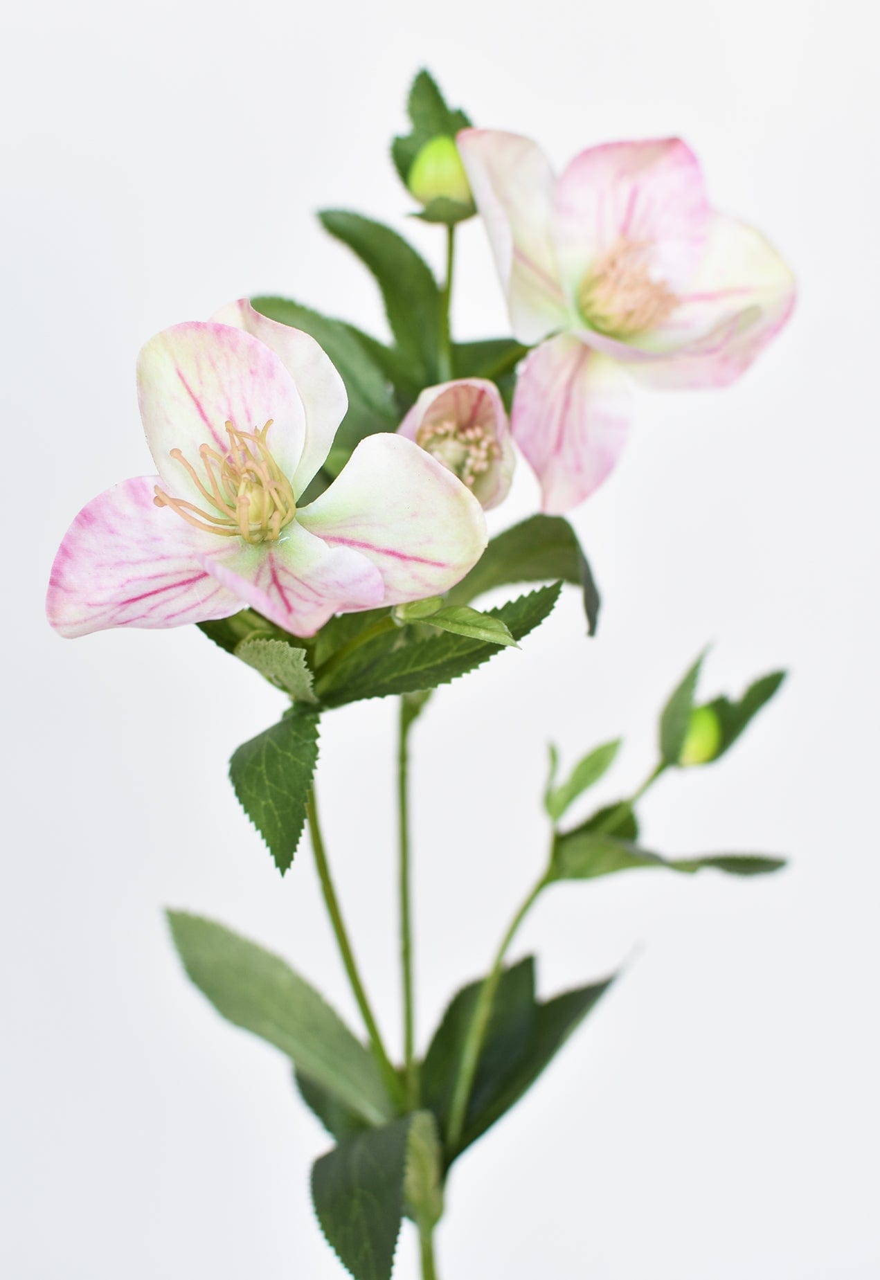 25" Faux Helleborus Stem Pink / Green