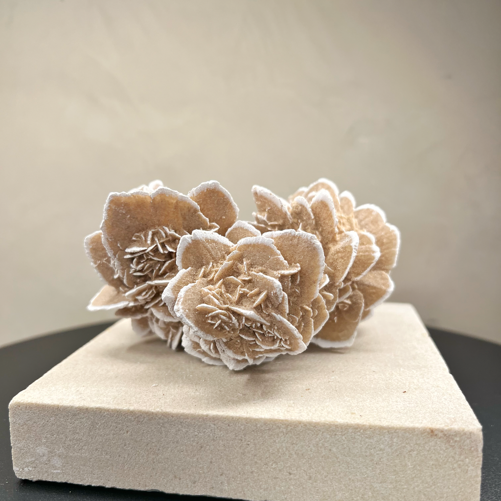 Desert Rose Selenite Triple Cluster