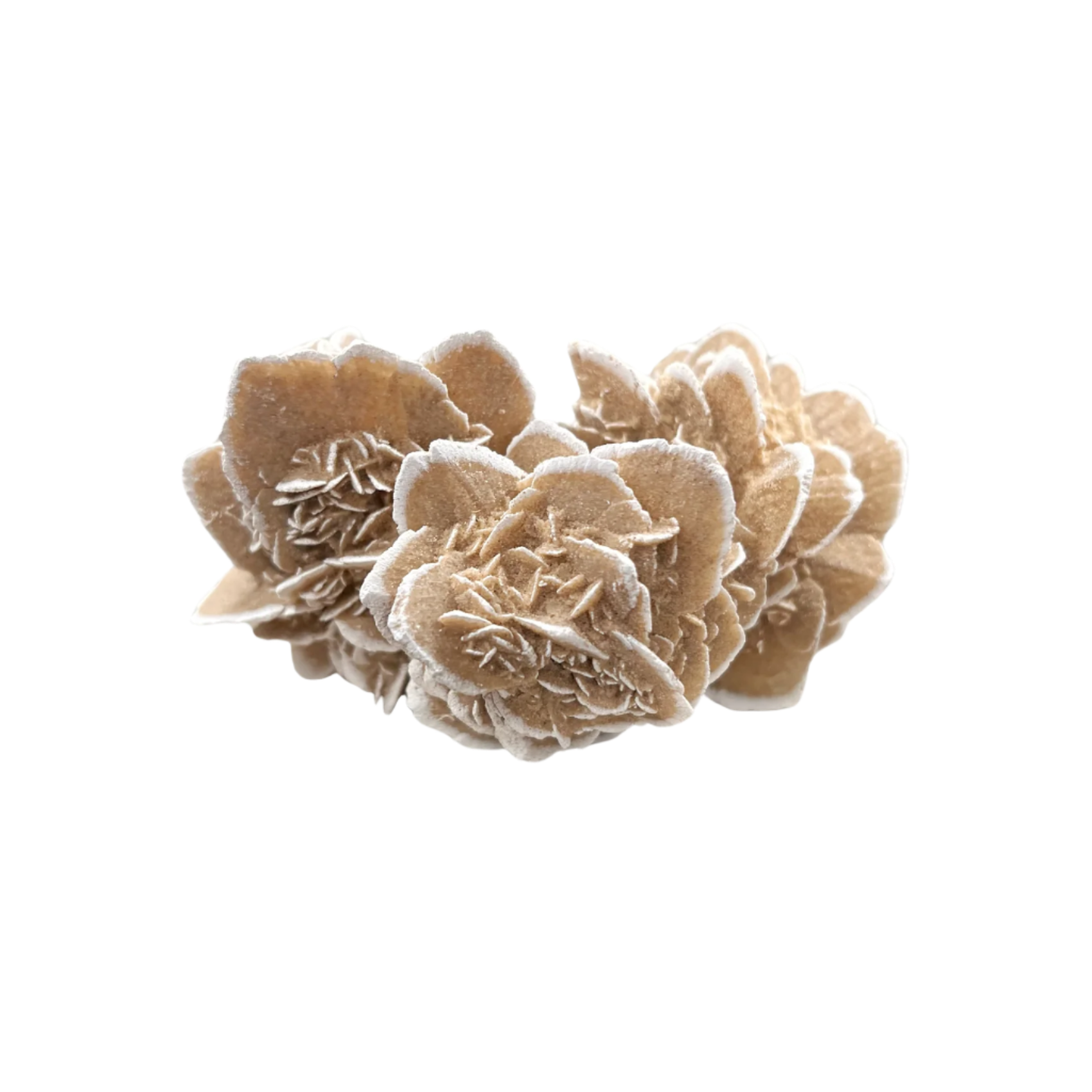 Desert Rose Selenite Triple Cluster
