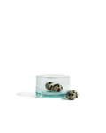 Envie Petit Recycled Glasses - Set of 6