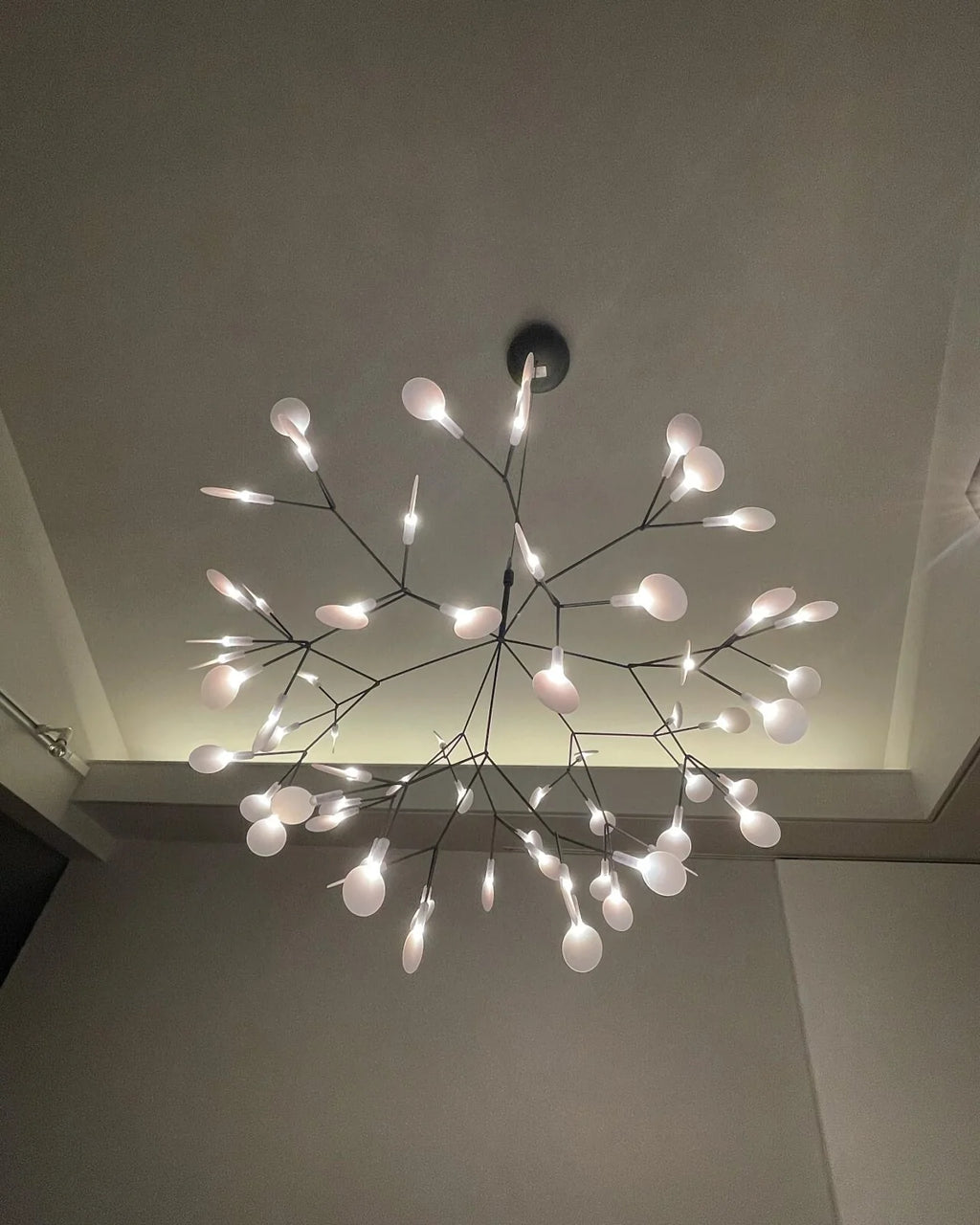 Firefly LED Chandelier