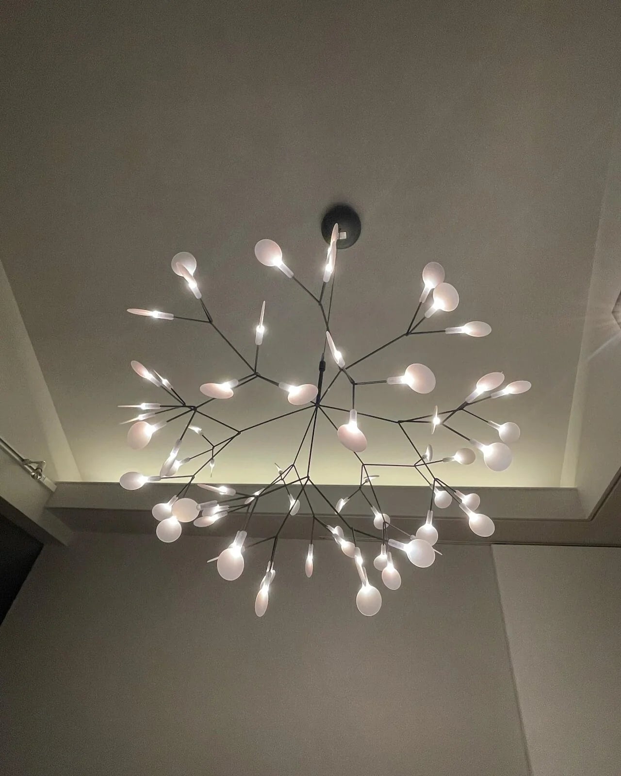 Firefly LED Chandelier