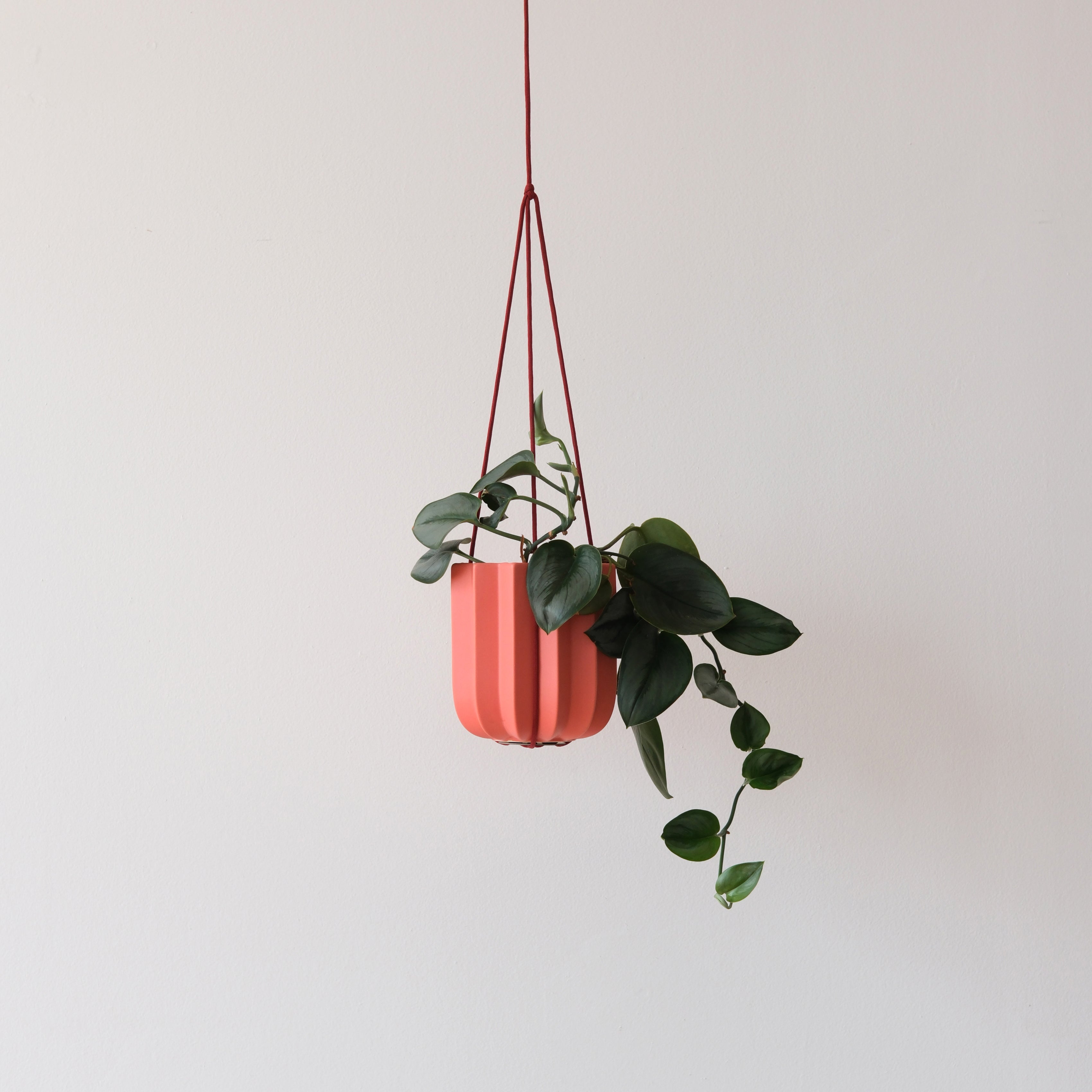 Wrap Hanging Kit