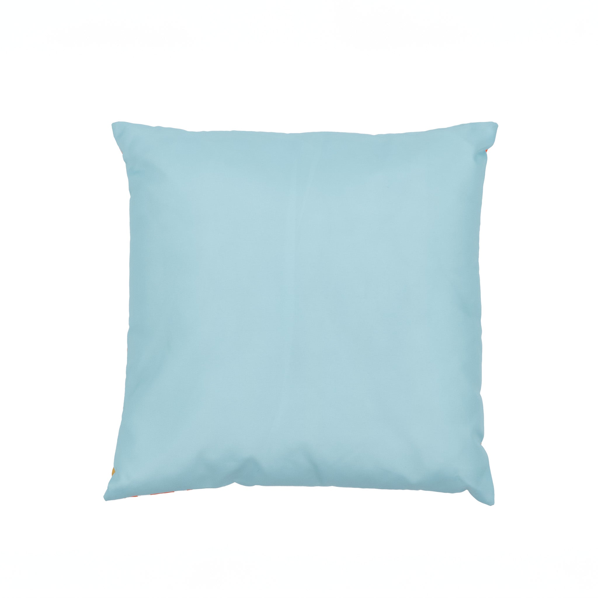 Cha Cha 17.7" Square double-sided Pillow