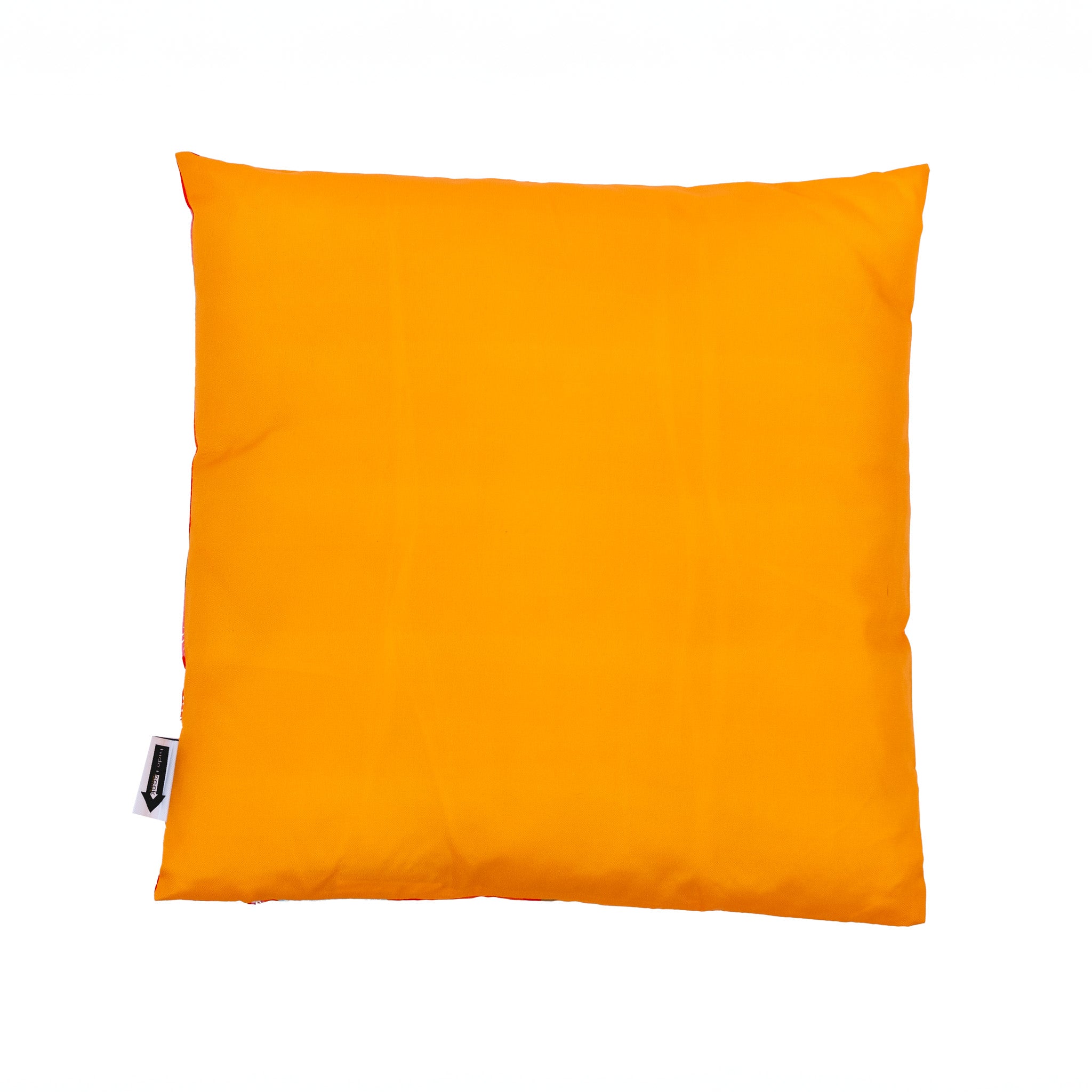 Blink 17.7" Square double-sided Pillow