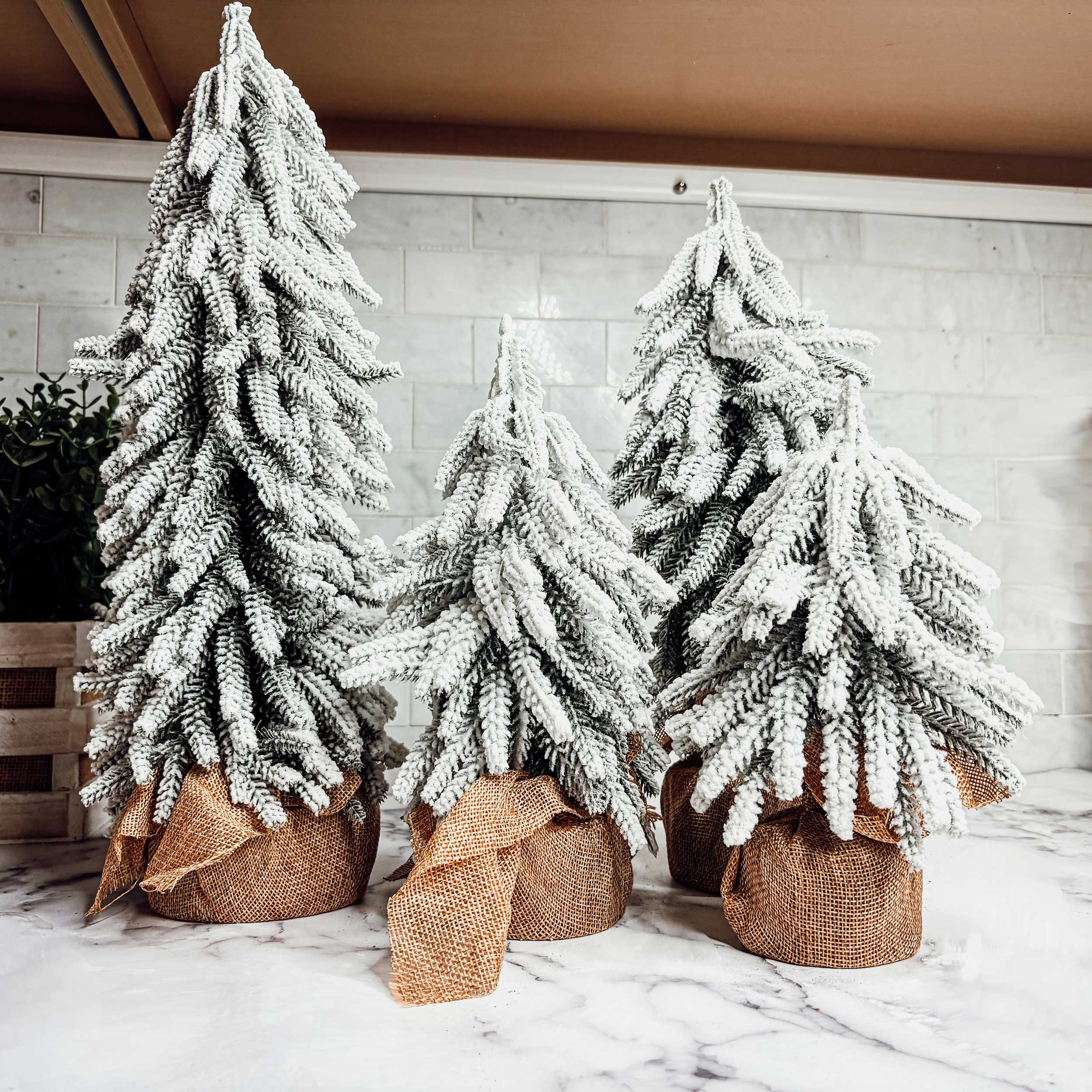 Flocked Mini Christmas Trees