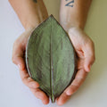 Large Leaf Stoneware Dish