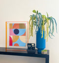 Levitate Acrylic Shadow Box Frame - Orange - Gumball Print