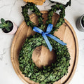 Preserved Boxwood Bunny Wreath