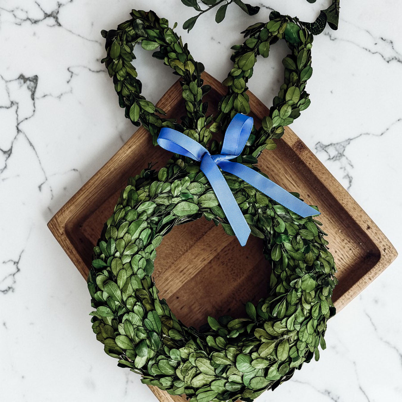 Preserved Boxwood Bunny Wreath