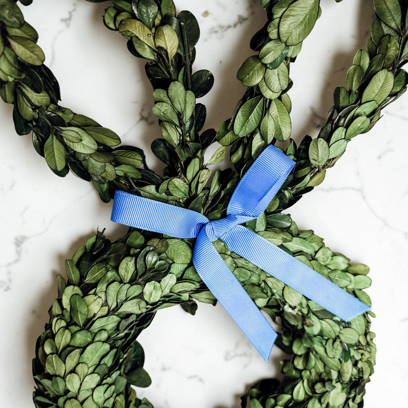 Preserved Boxwood Bunny Wreath