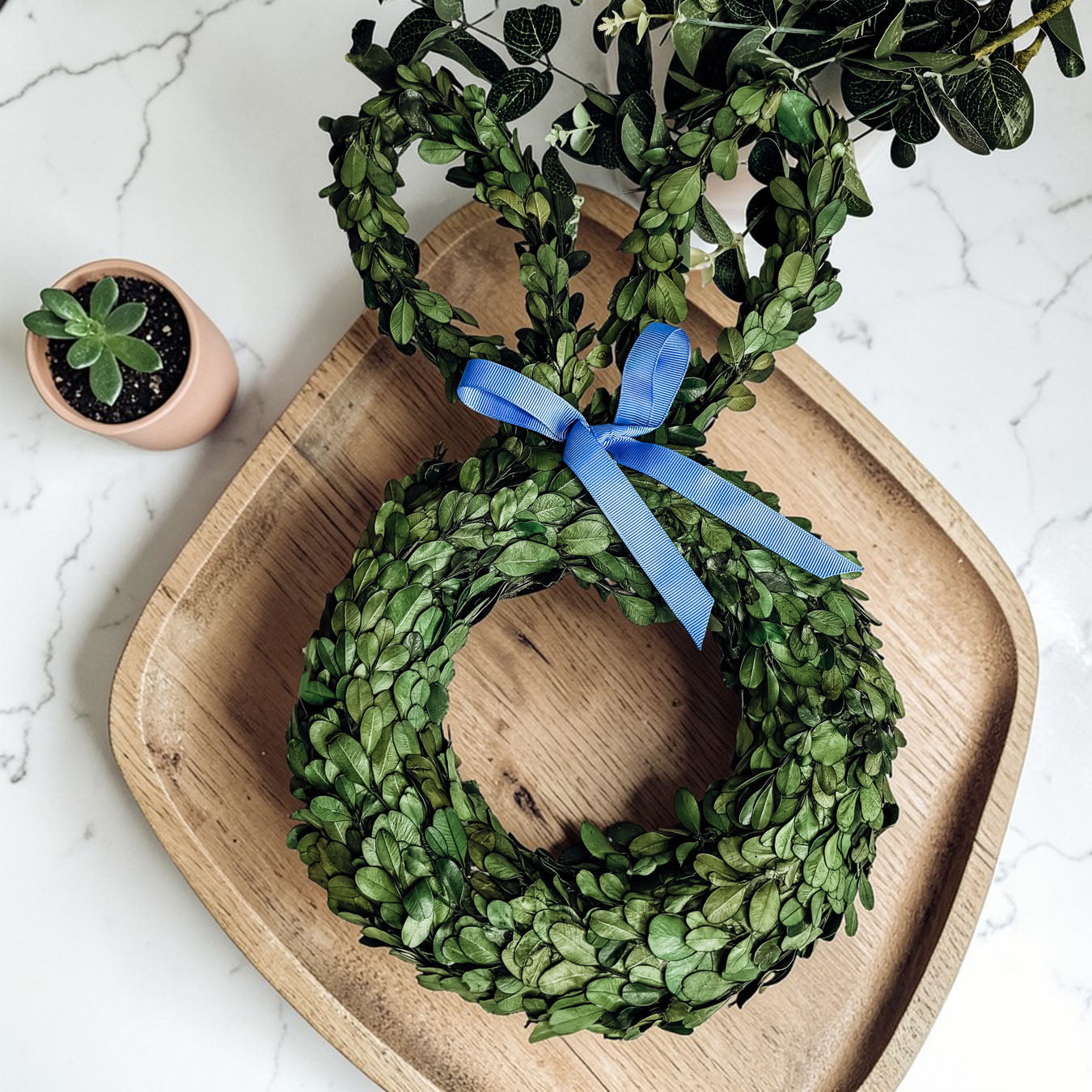Preserved Boxwood Bunny Wreath