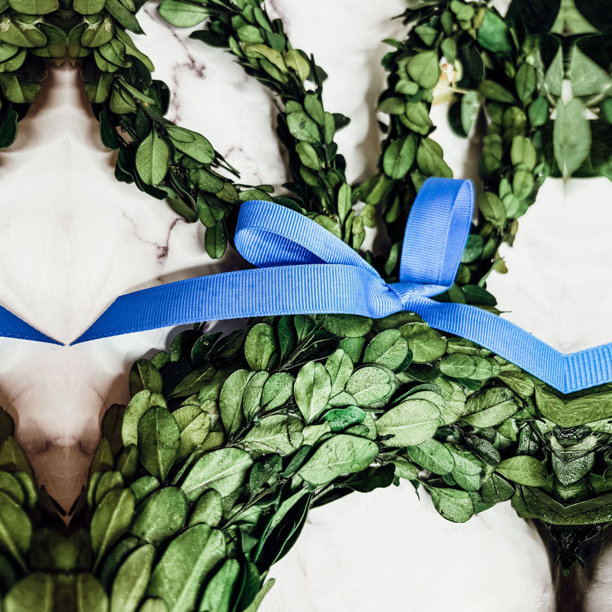 Preserved Boxwood Bunny Wreath