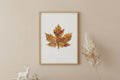 Leaf Prints