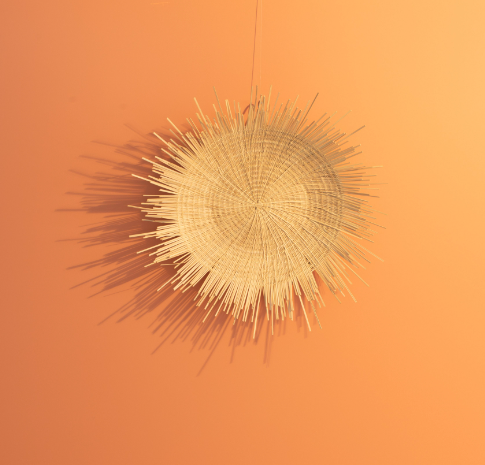 Natural Sunburst Plate Wall Hanging - 23"