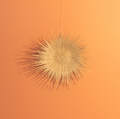 Natural Sunburst Plate Wall Hanging - 19"
