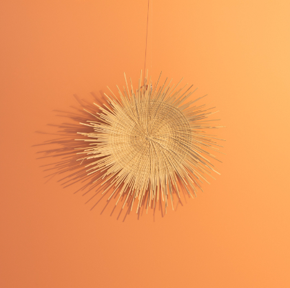 Natural Sunburst Plate Wall Hanging - 19"
