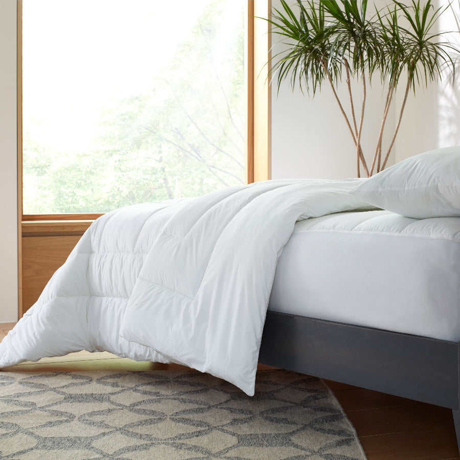 All-Season Cotton Comforter & Duvet Insert