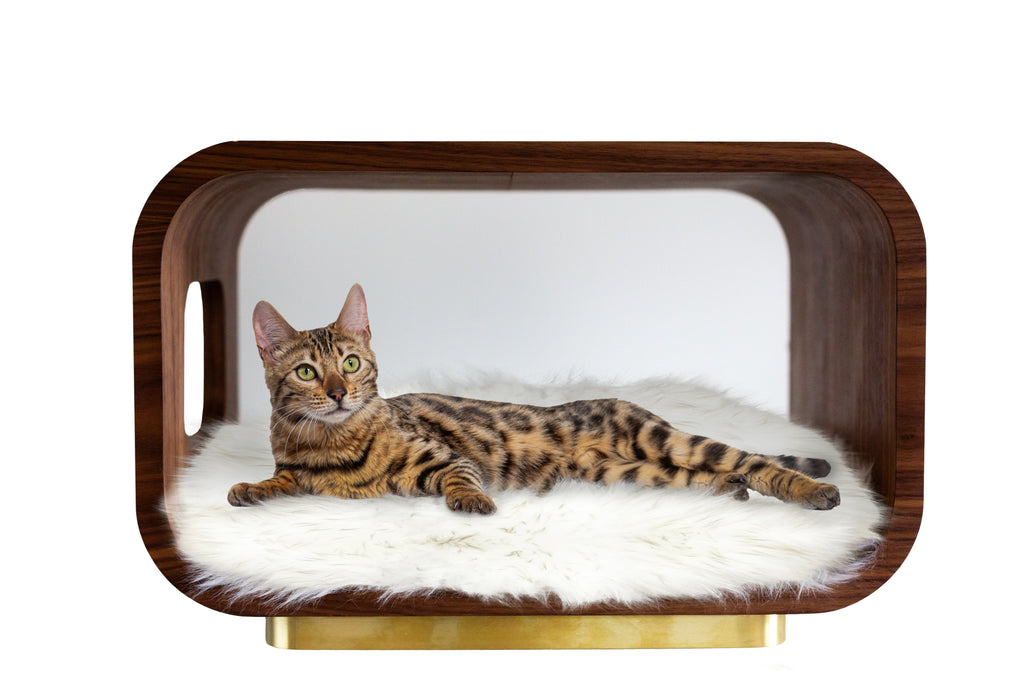 The LUNA Bed in Walnut