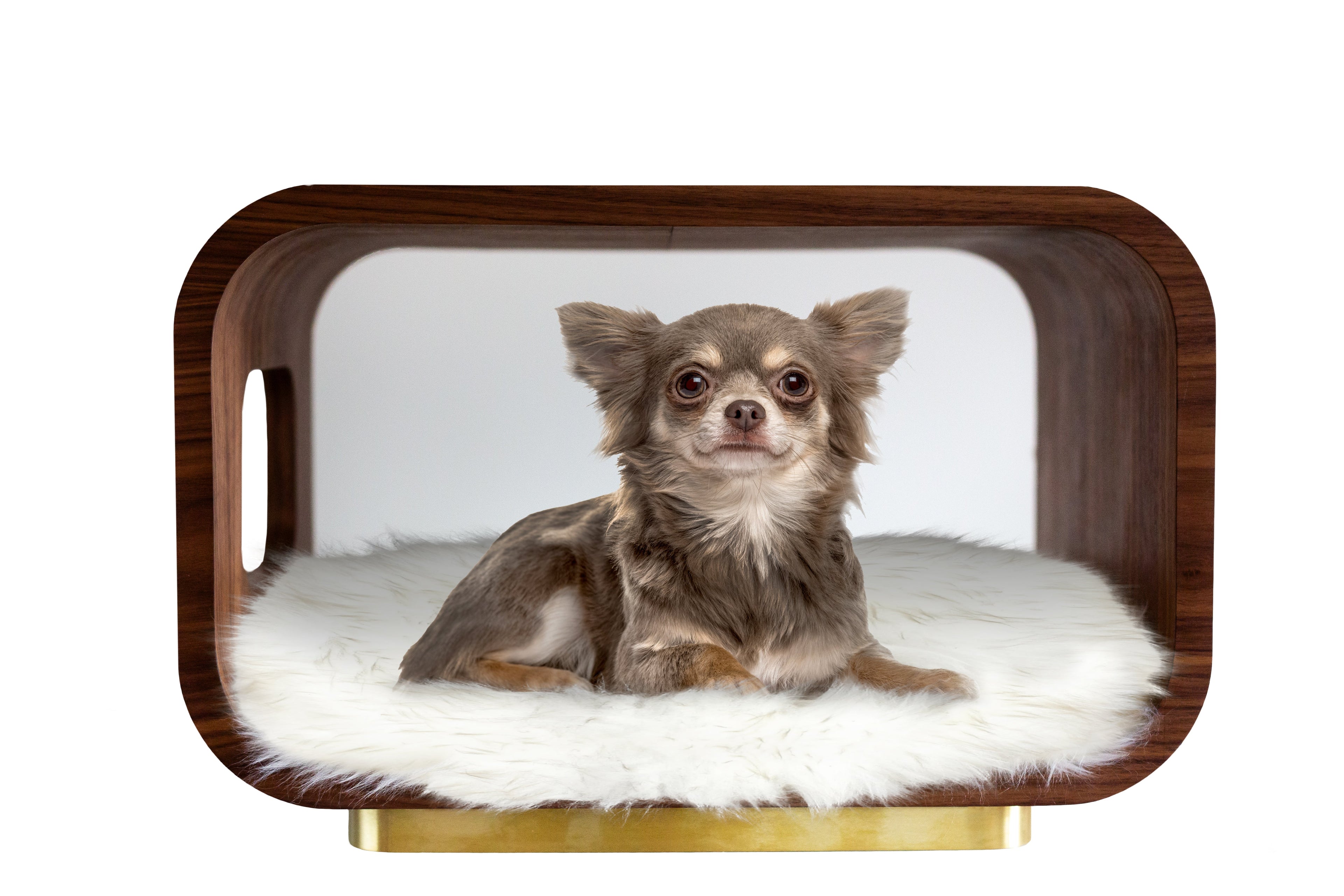 The LUNA Bed in Walnut