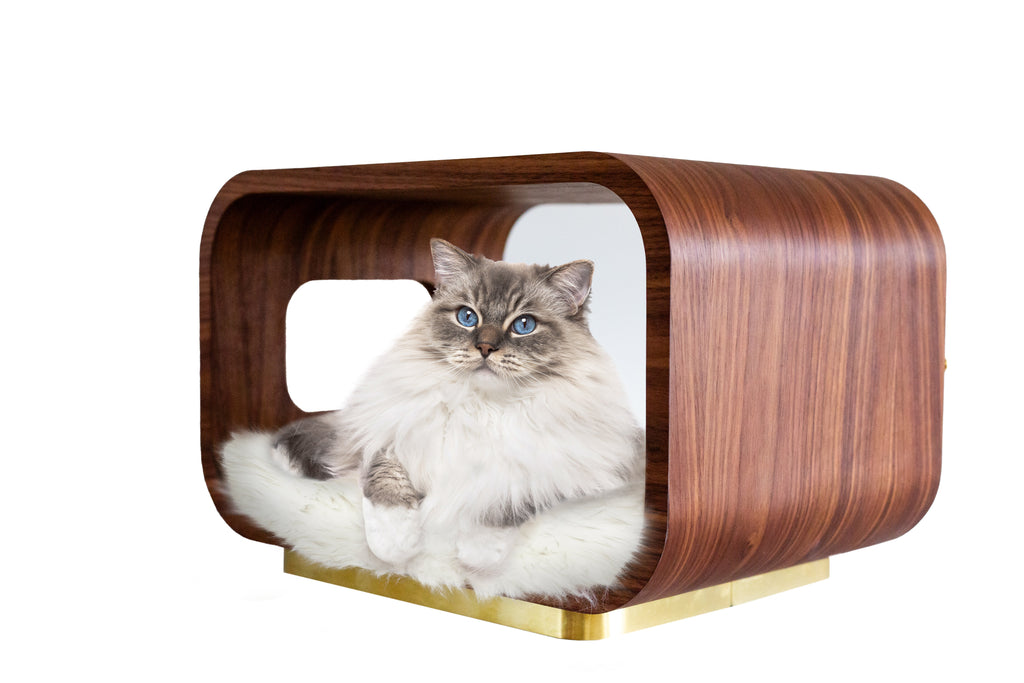 The LUNA Bed in Walnut