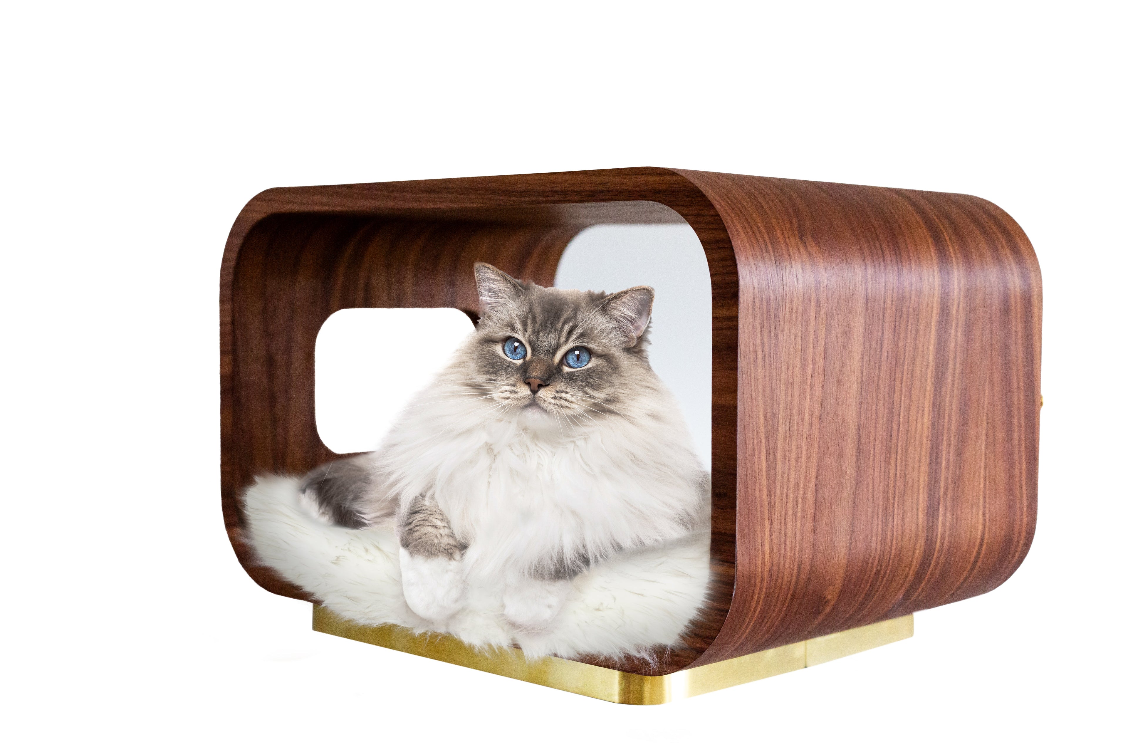 The LUNA Bed in Walnut