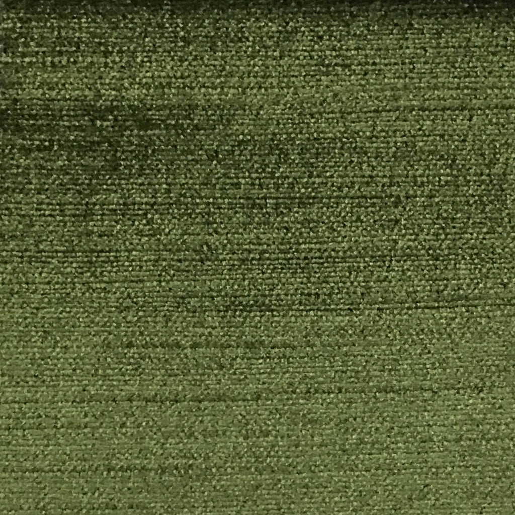 MAJESTIC - METALLIC COTTON & RAYON PLAIN VELVET