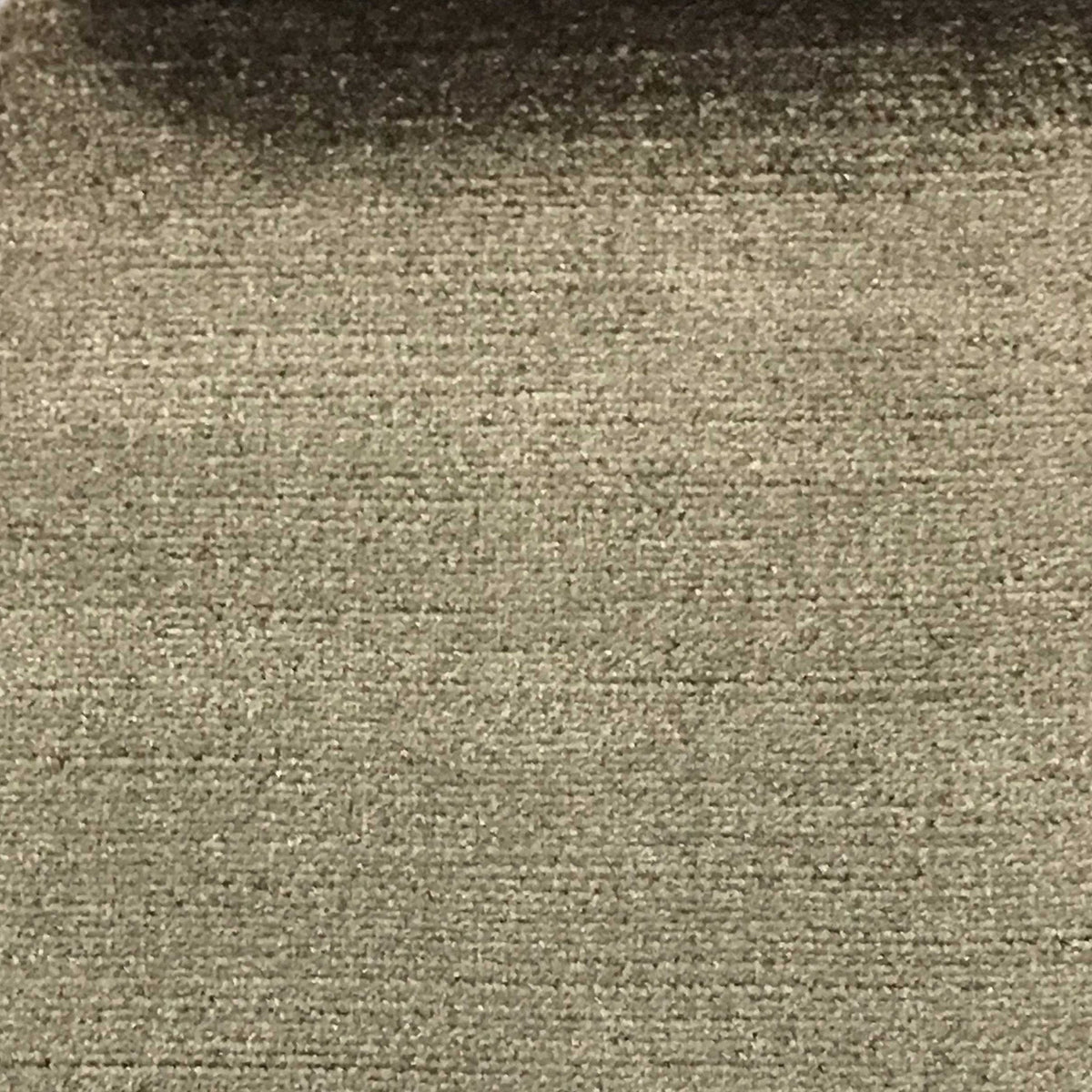 Majestic Metallic Cotton & Rayon Velvet