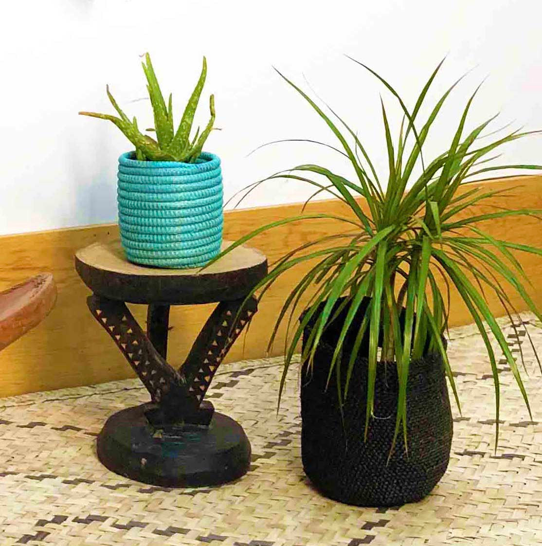 Succulent Basket Planter