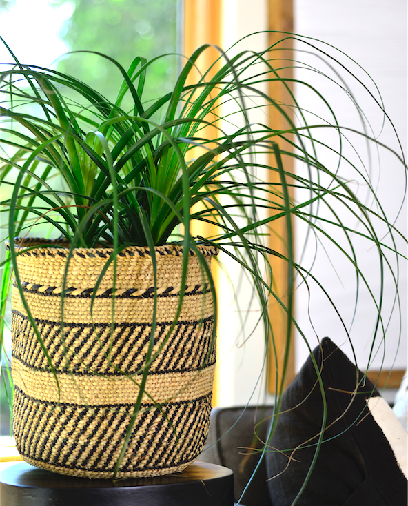 Natural African Iringa woven basket with Black Stripe
