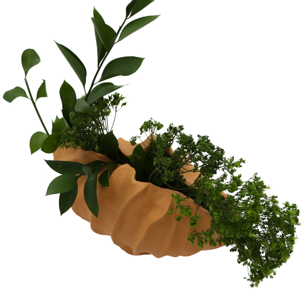 Sirene Shell Ceramic Vase