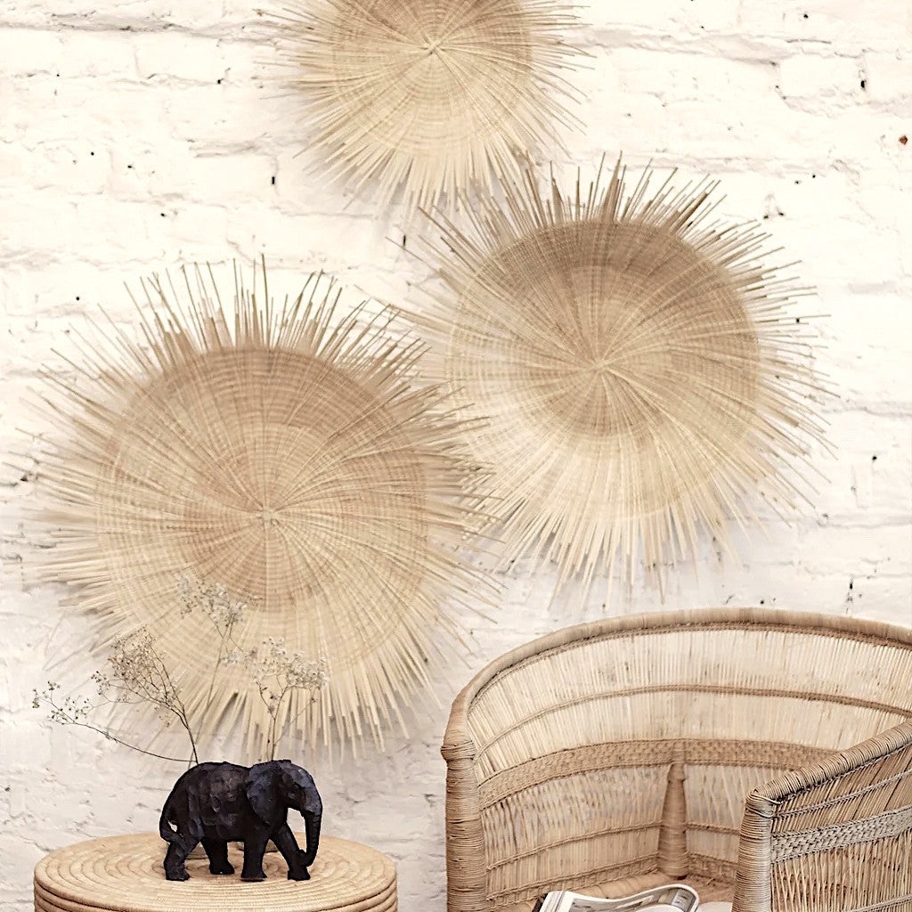 Natural Sunburst Plate Wall Hanging - 23"