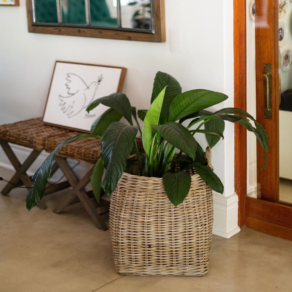 Rattan Kikko Basket