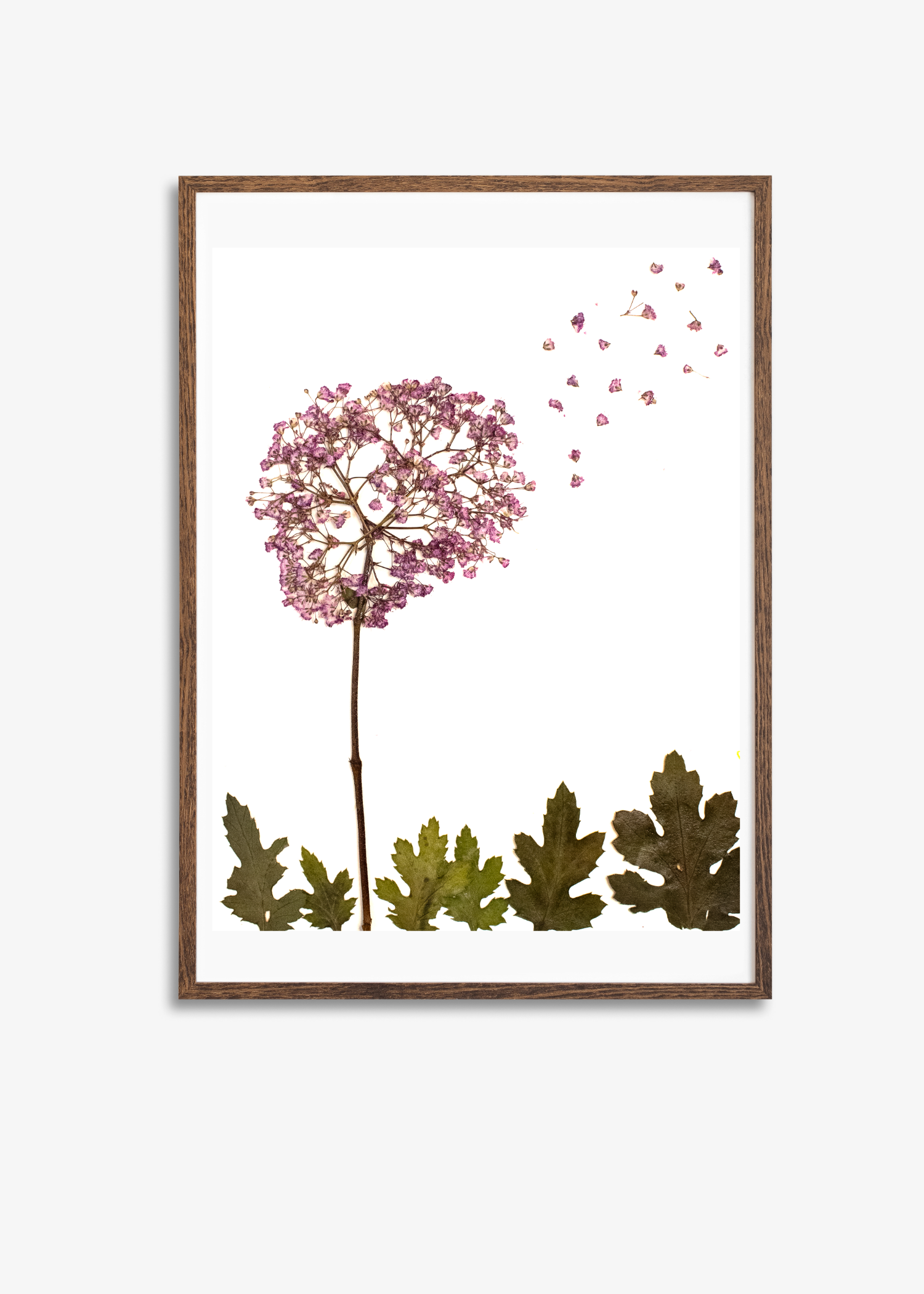 Dandelion Prints