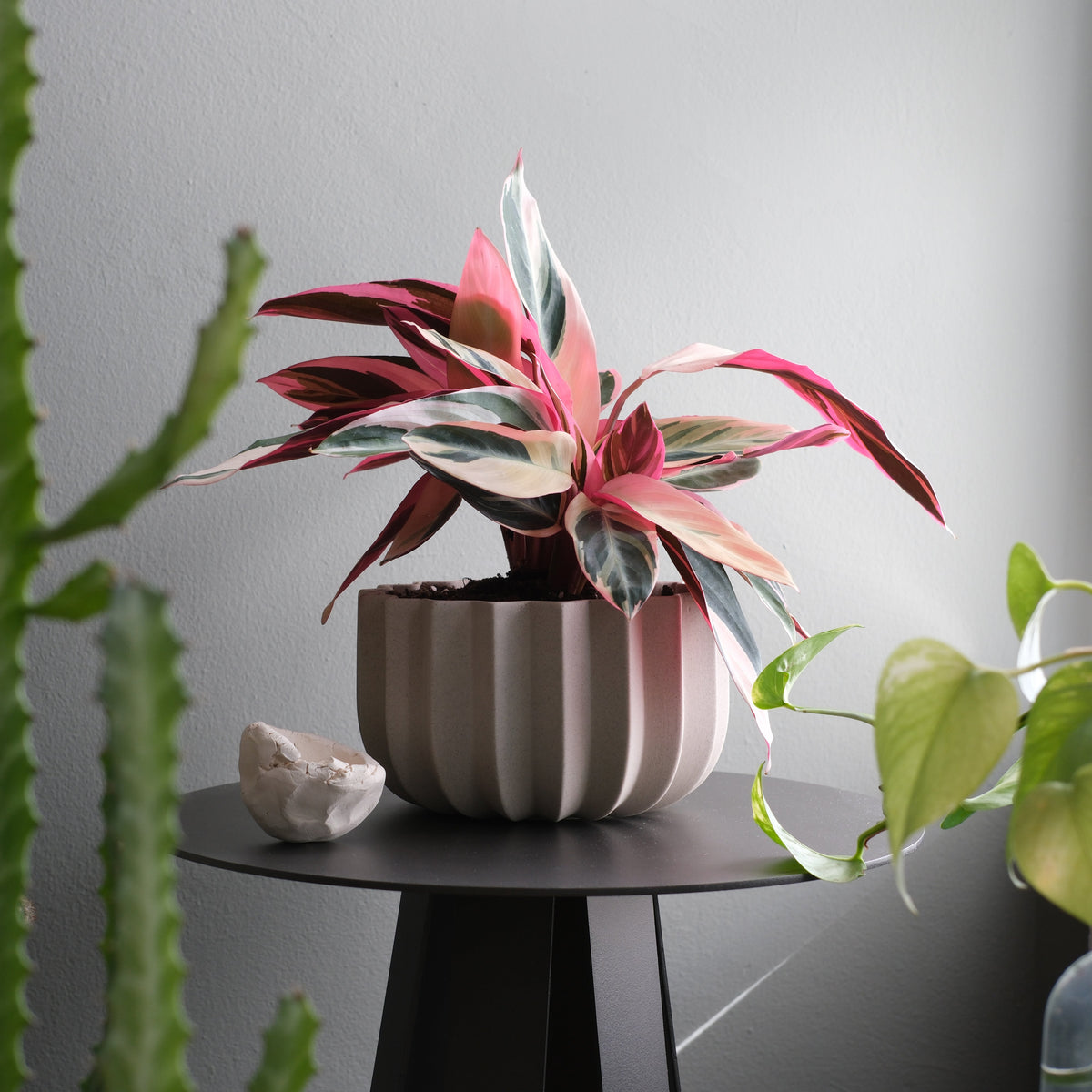 Wrap Planter - 4 sizes