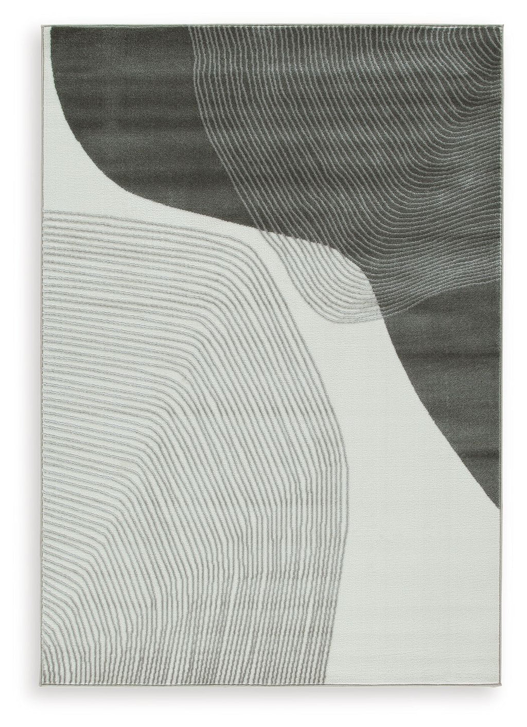 Winderburg Area Rug