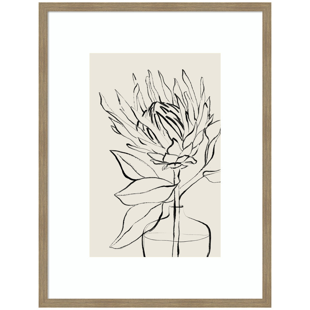 SB Protea Sketch No. 1 by Sara Berrenson Framed Wall Art Print