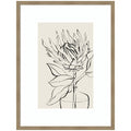 SB Protea Sketch No. 1 by Sara Berrenson Framed Wall Art Print