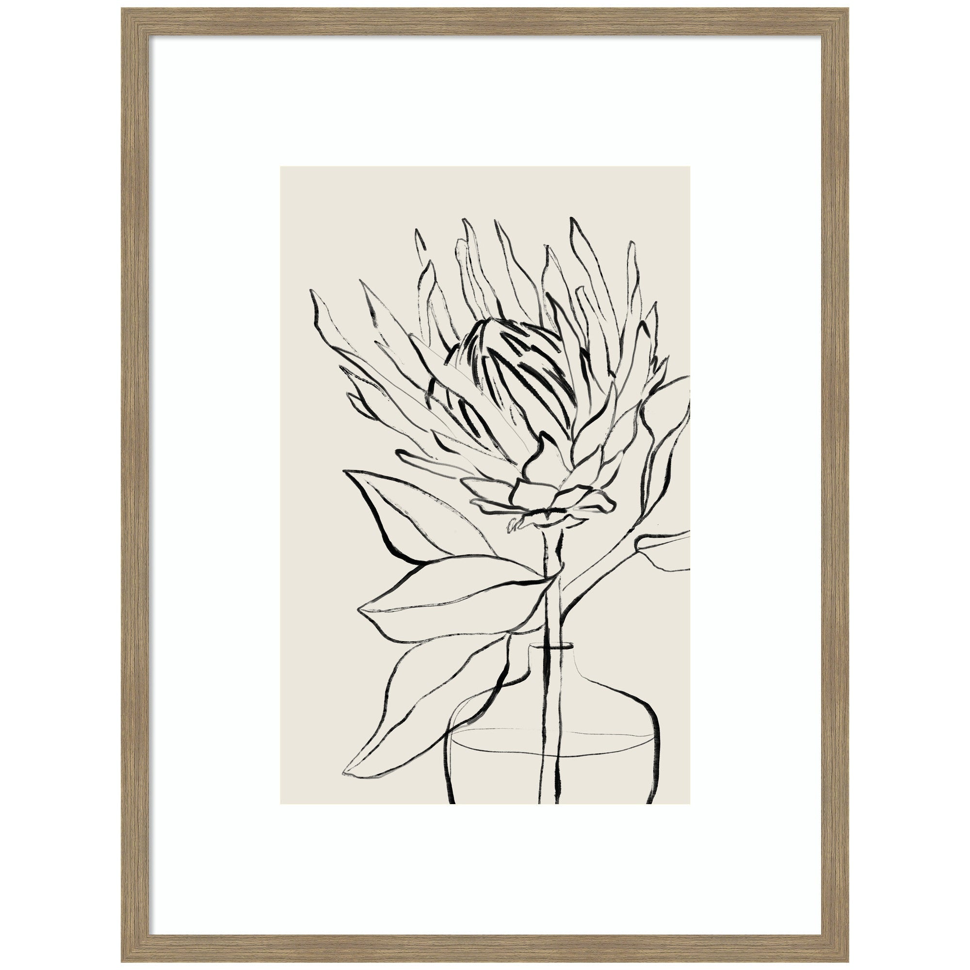 SB Protea Sketch No. 1 by Sara Berrenson Framed Wall Art Print