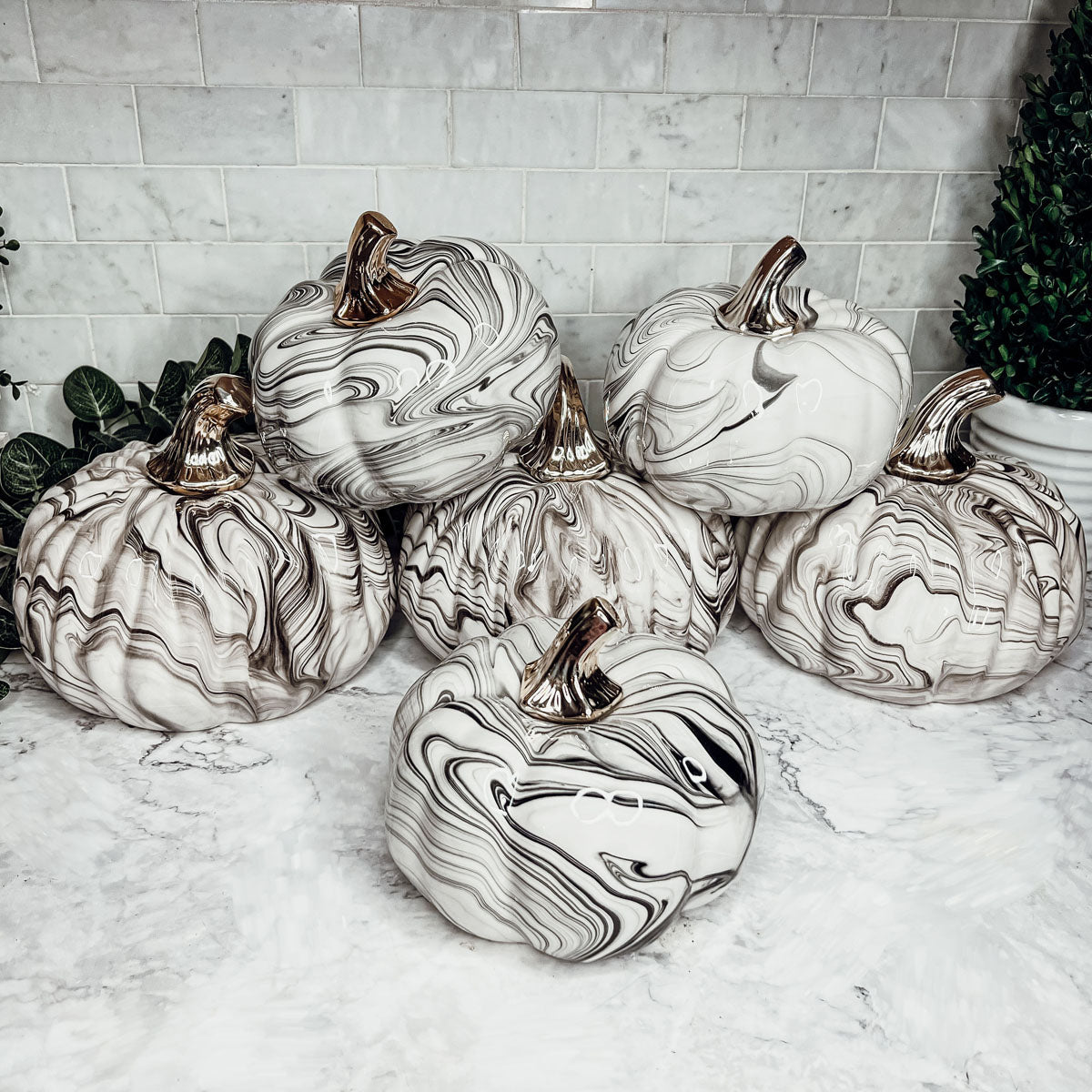 Black Marble Pumpkin with Gold Stem