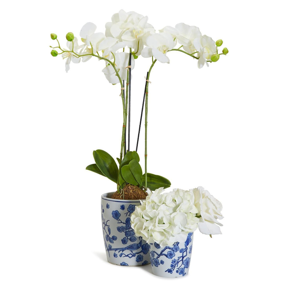 Blue & White Chinoiserie Planter