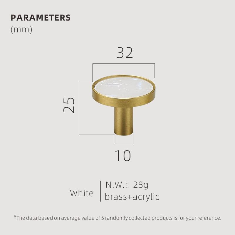 Brass Shell Wall Hooks