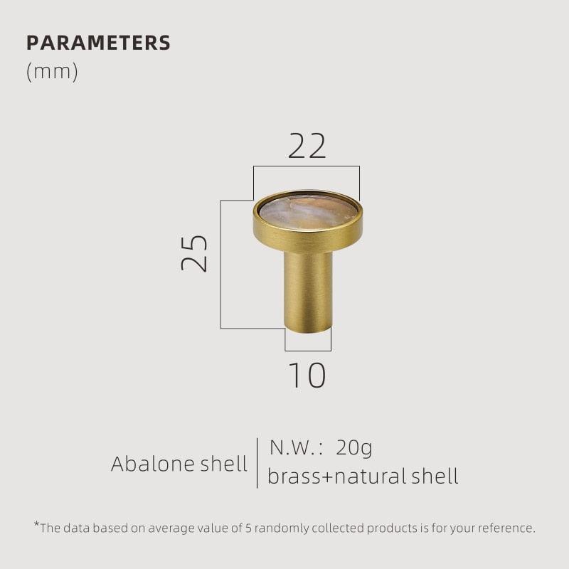Brass Shell Wall Hooks
