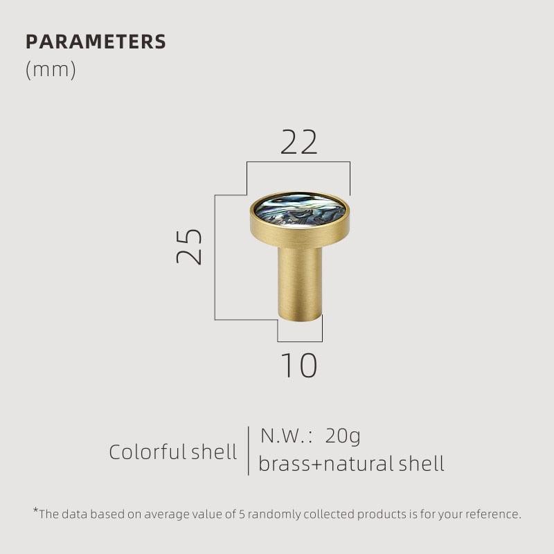 Brass Shell Wall Hooks